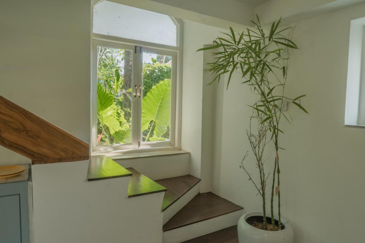 The Island Sanctuary - A Village Secret Chorao Екстер'єр фото